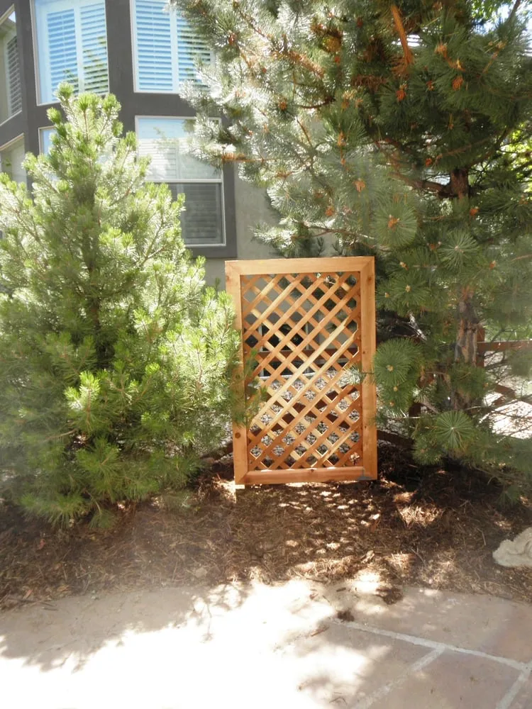 Reliable lawn mowing service in Broomfield, CO by Amalgam Services