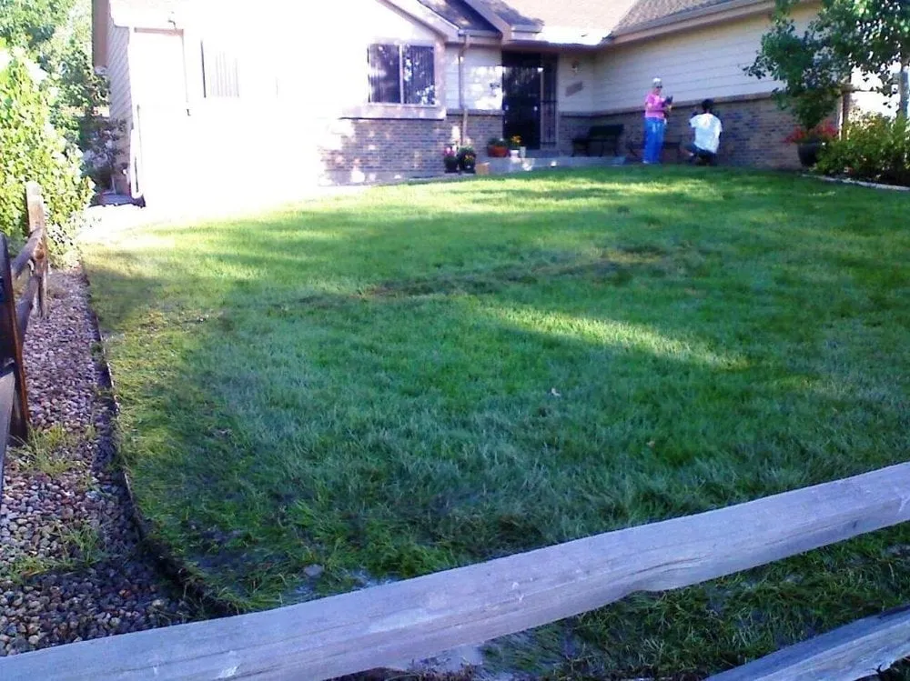 Top-rated residential landscaping experts serving Broomfield, CO - Amalgam Services