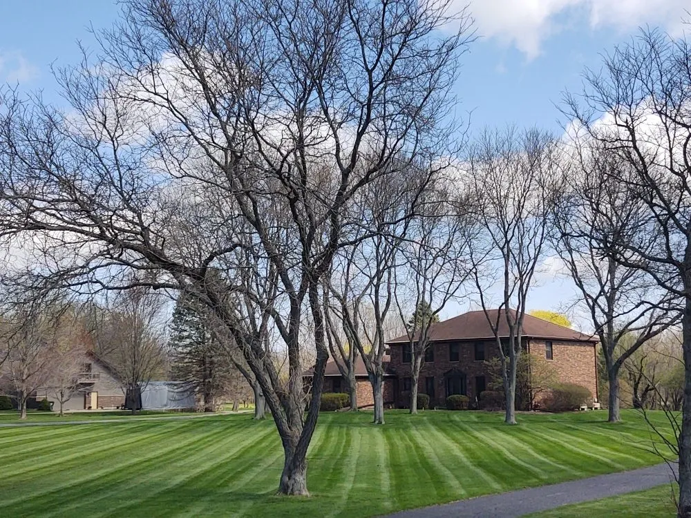 Local landscape design in St. Charles, IL - Amanda's Lawn Service