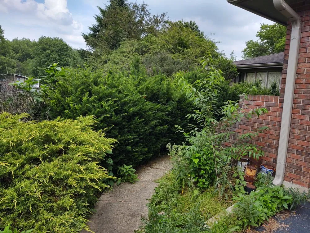 Local yard cleanup service near you across St. Charles, IL - Amanda's Lawn Service