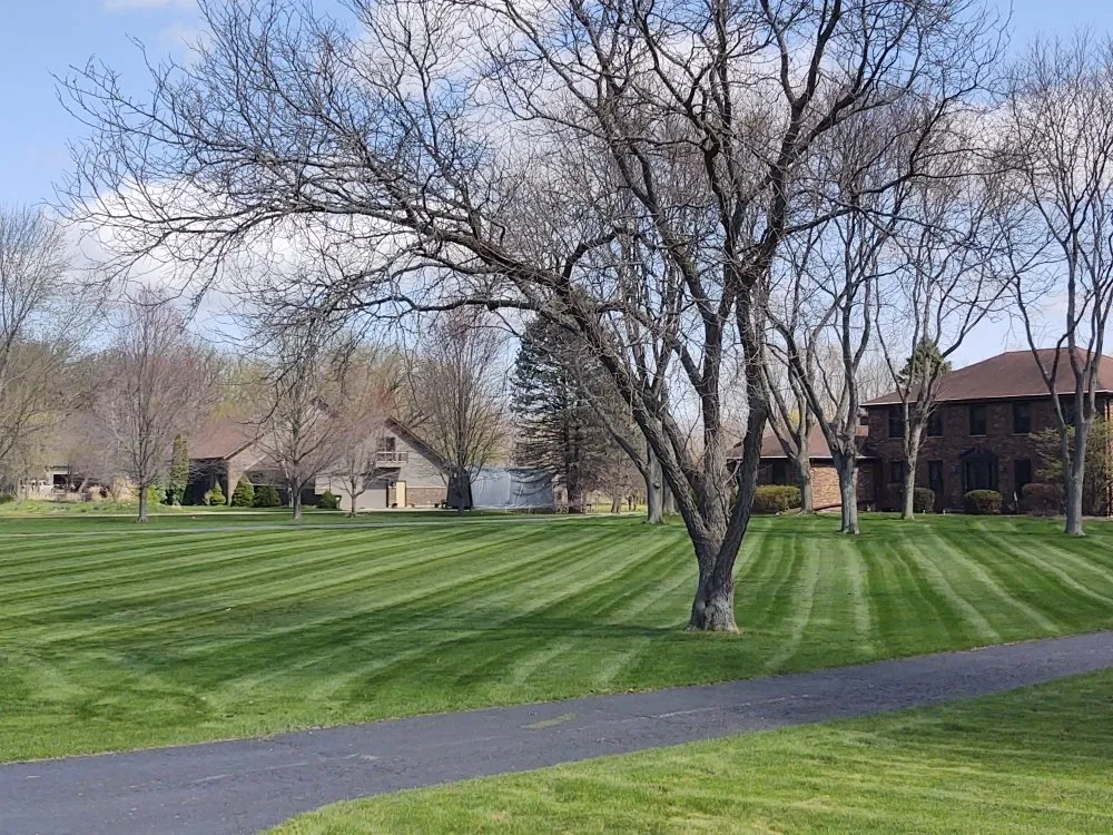Expert yard cleanup service in St. Charles, IL - Amanda's Lawn Service