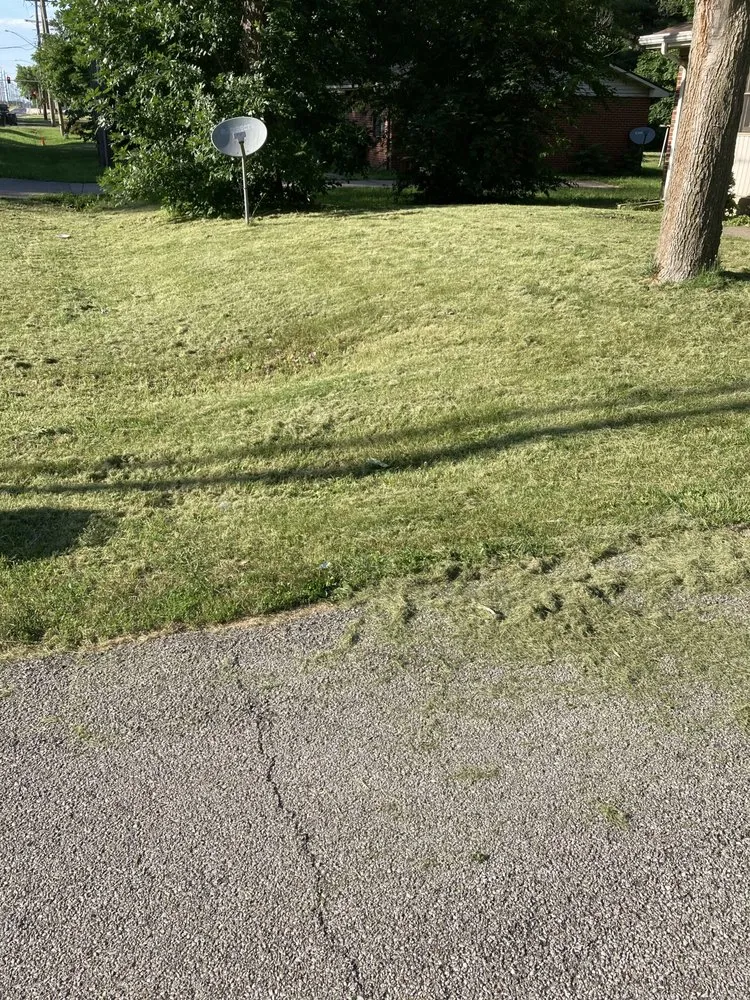 Affordable outdoor landscaping for year-round maintenance across Decatur, IL - Amari and Stephon