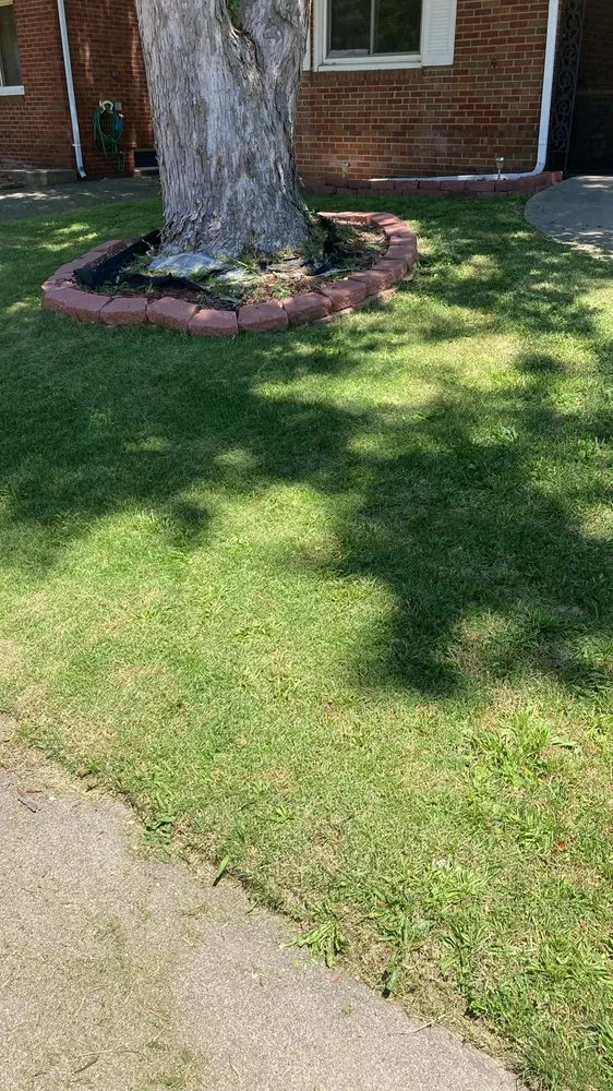 Expert landscape installation for outdoor upgrades in Decatur, IL by Amari and Stephon