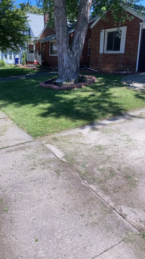 Custom outdoor landscaping in Decatur, IL by Amari and Stephon