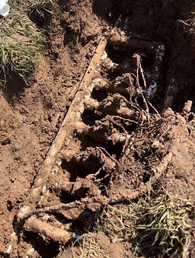 Reliable landscaping services in Amarillo, TX by Amarillo Land Services