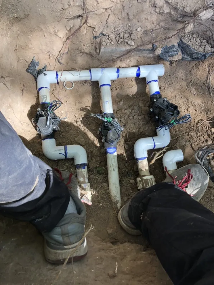 Top-rated landscaping services for beautiful yards across Amarillo, TX - Amarillo Traditional Landscaping & Irrigation