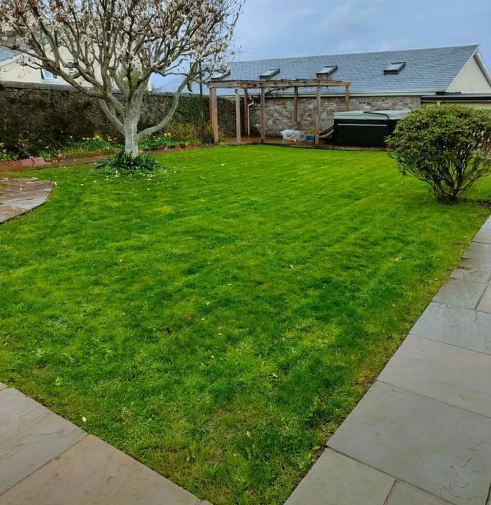 Local yard maintenance in Fort Wayne, IN by Amaris Lawn Care