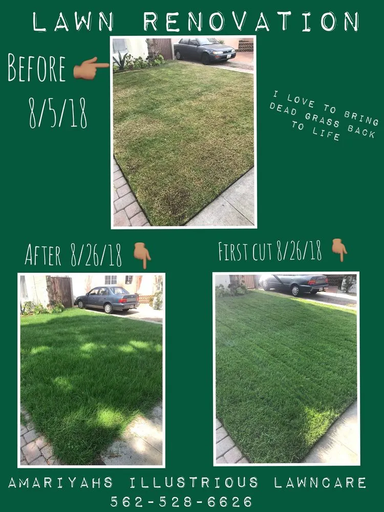 Trusted landscape design in Seguin, TX - Amariyahs Illustrious Lawncare