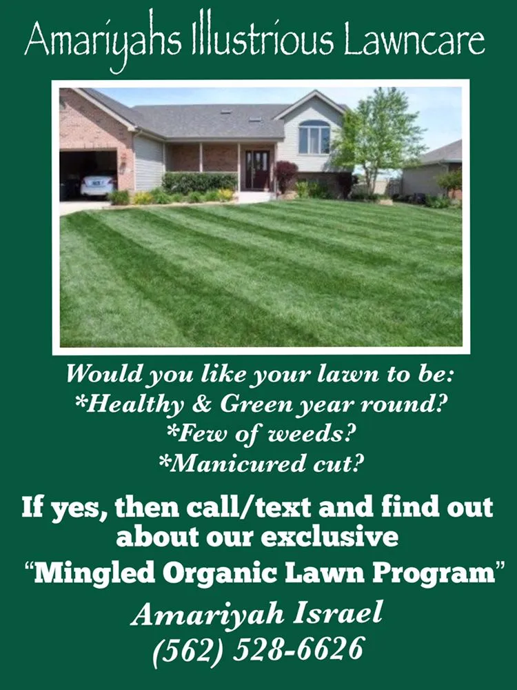 Affordable landscaping services near you in Seguin, TX by Amariyahs Illustrious Lawncare