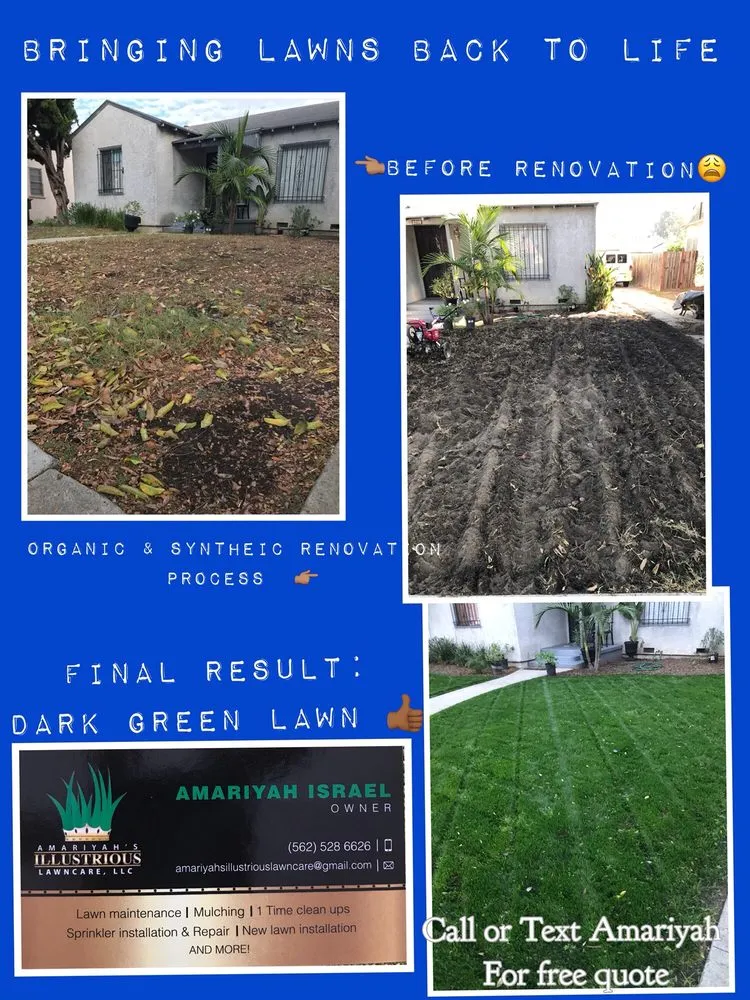 Affordable lawn care service experts serving Seguin, TX - Amariyahs Illustrious Lawncare