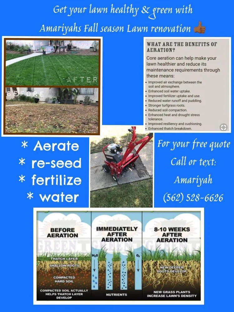 Professional landscaping services in Seguin, TX by Amariyahs Illustrious Lawncare