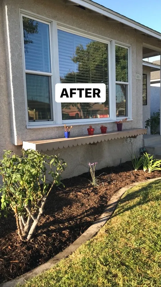 Top-rated residential landscaping in Seguin, TX - Amariyahs Illustrious Lawncare