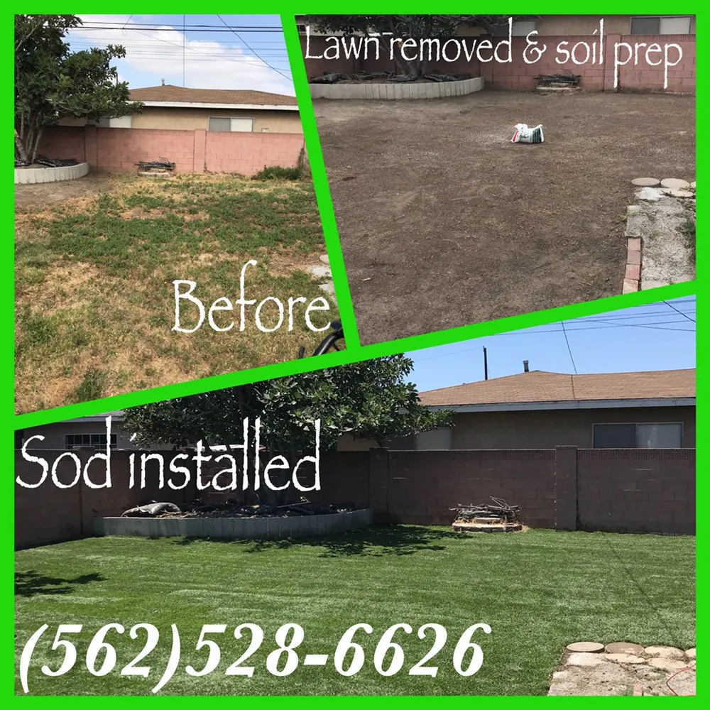 Trusted lawn mowing service experts serving Seguin, TX - Amariyahs Illustrious Lawncare