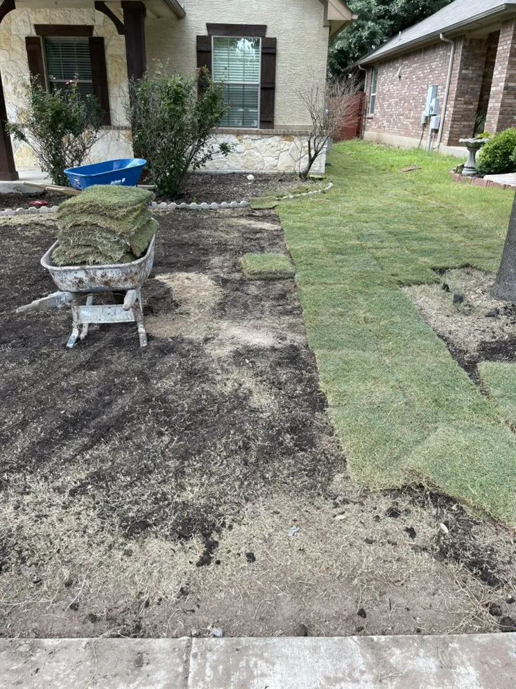 Affordable lawn mowing service in Seguin, TX by Amariyahs Illustrious Lawncare