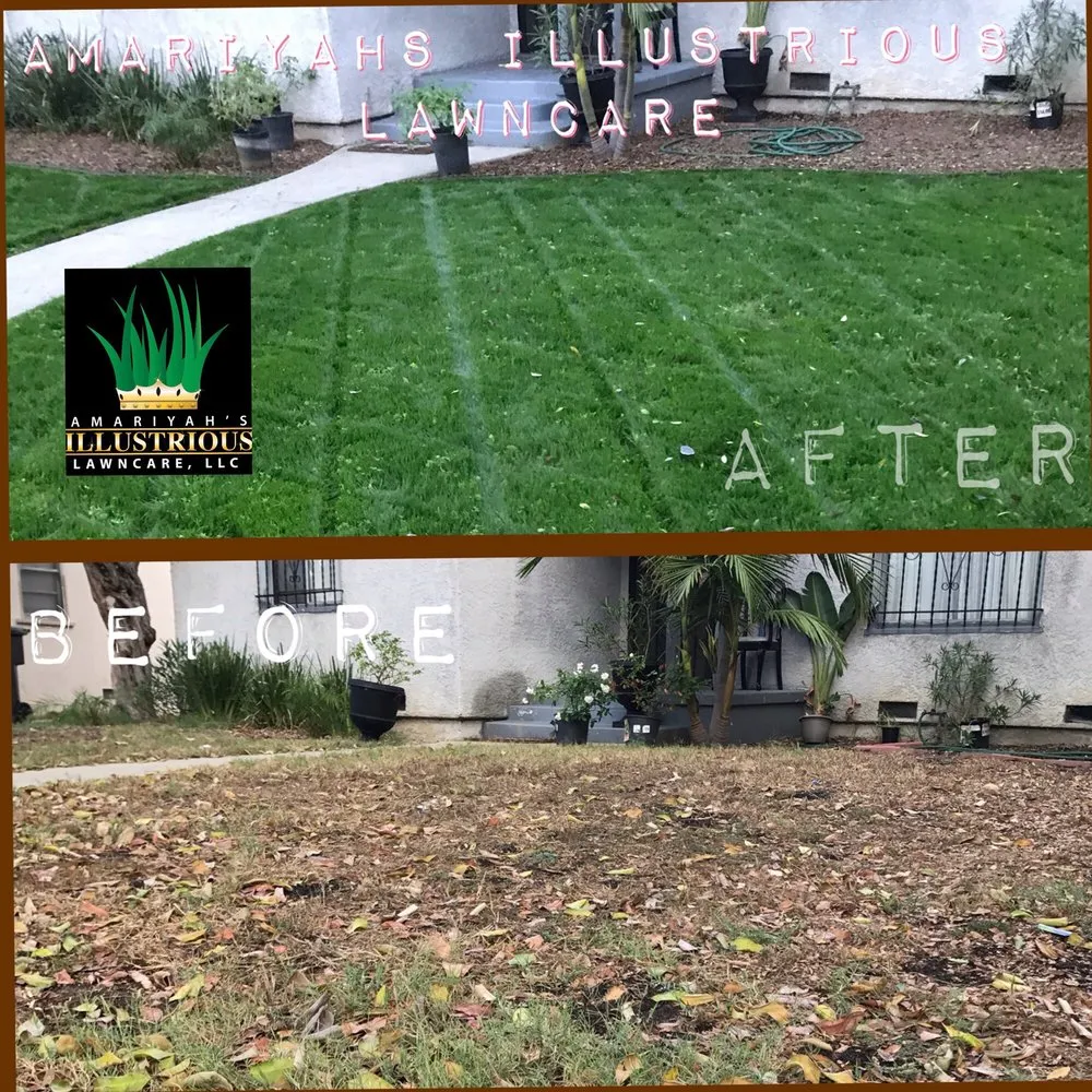 Custom garden landscaping experts serving Seguin, TX - Amariyahs Illustrious Lawncare