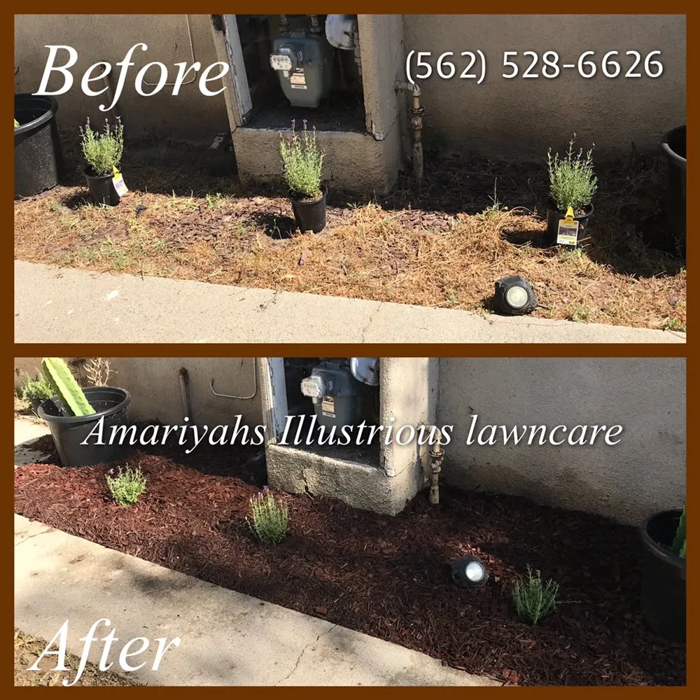 Local residential landscaping in Seguin, TX by Amariyahs Illustrious Lawncare