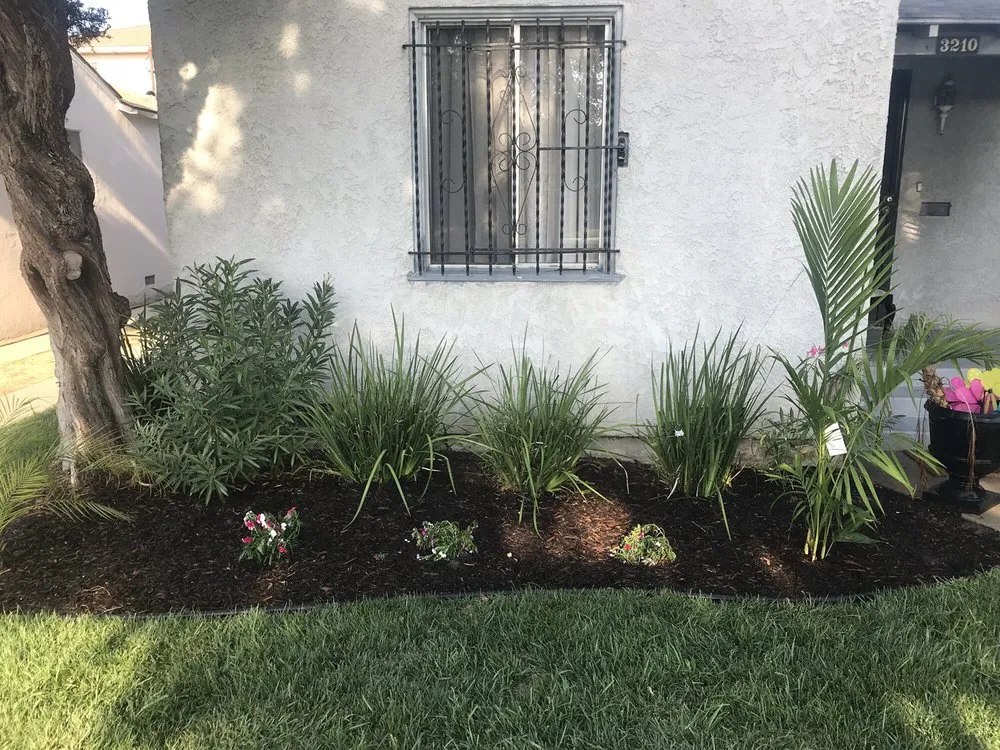 Custom landscape design in Seguin, TX by Amariyahs Illustrious Lawncare