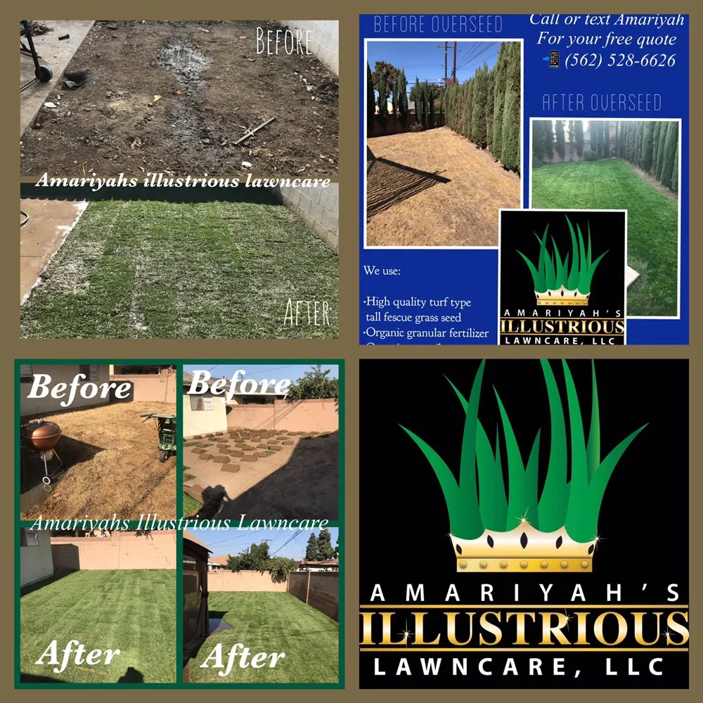Professional landscape design for outdoor upgrades across Seguin, TX - Amariyahs Illustrious Lawncare
