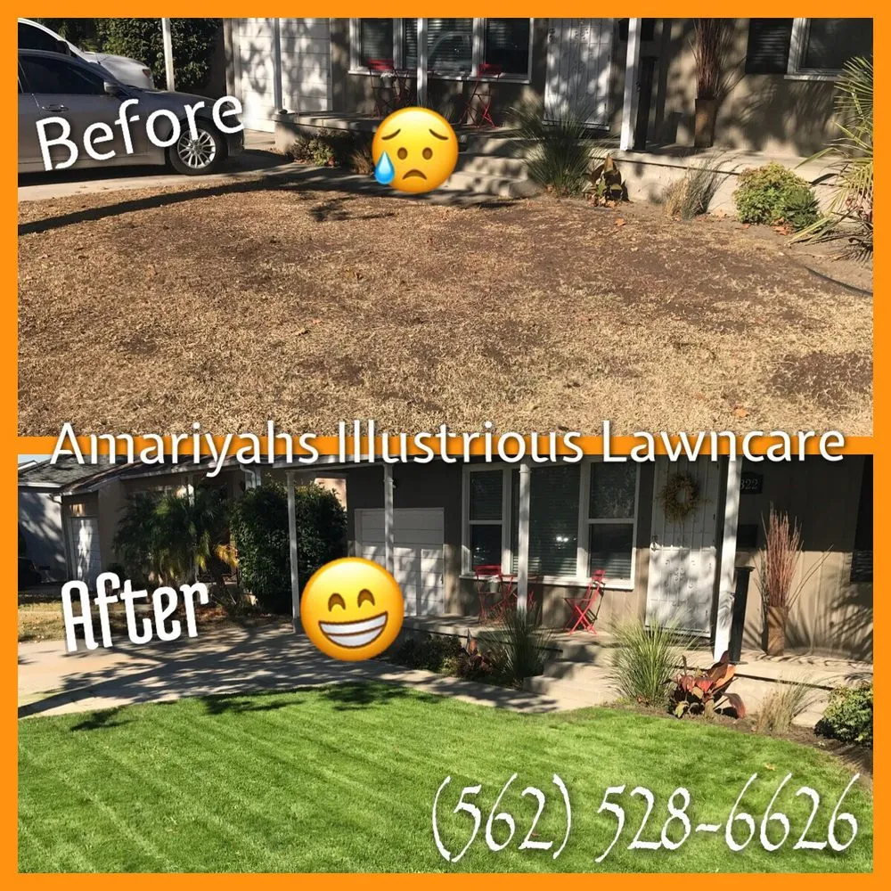 Local yard cleanup service with custom design across Seguin, TX - Amariyahs Illustrious Lawncare