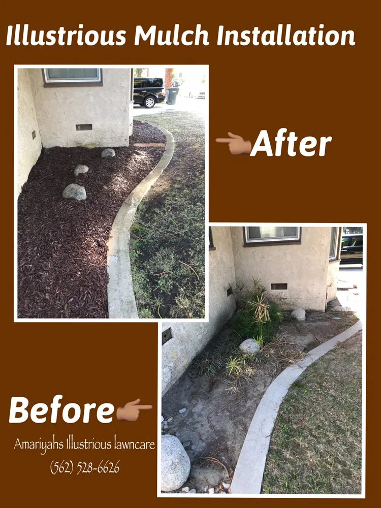 Trusted landscaping services for beautiful yards across Seguin, TX - Amariyahs Illustrious Lawncare