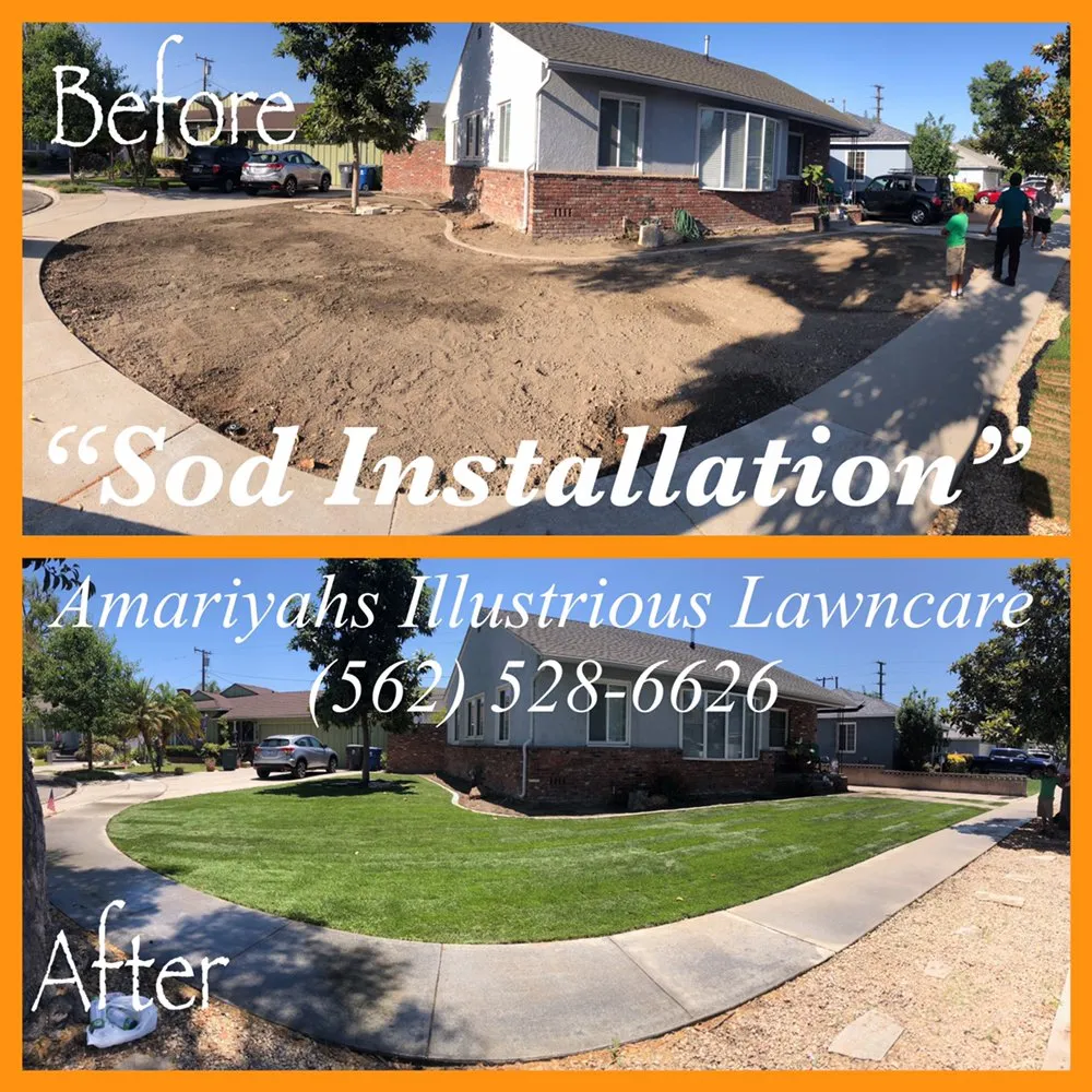 Expert yard cleanup service in Seguin, TX by Amariyahs Illustrious Lawncare