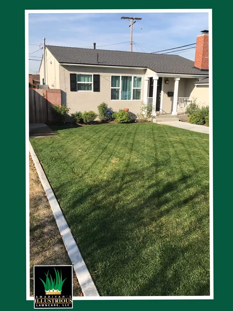 Affordable landscape installation for beautiful yards in Seguin, TX by Amariyahs Illustrious Lawncare