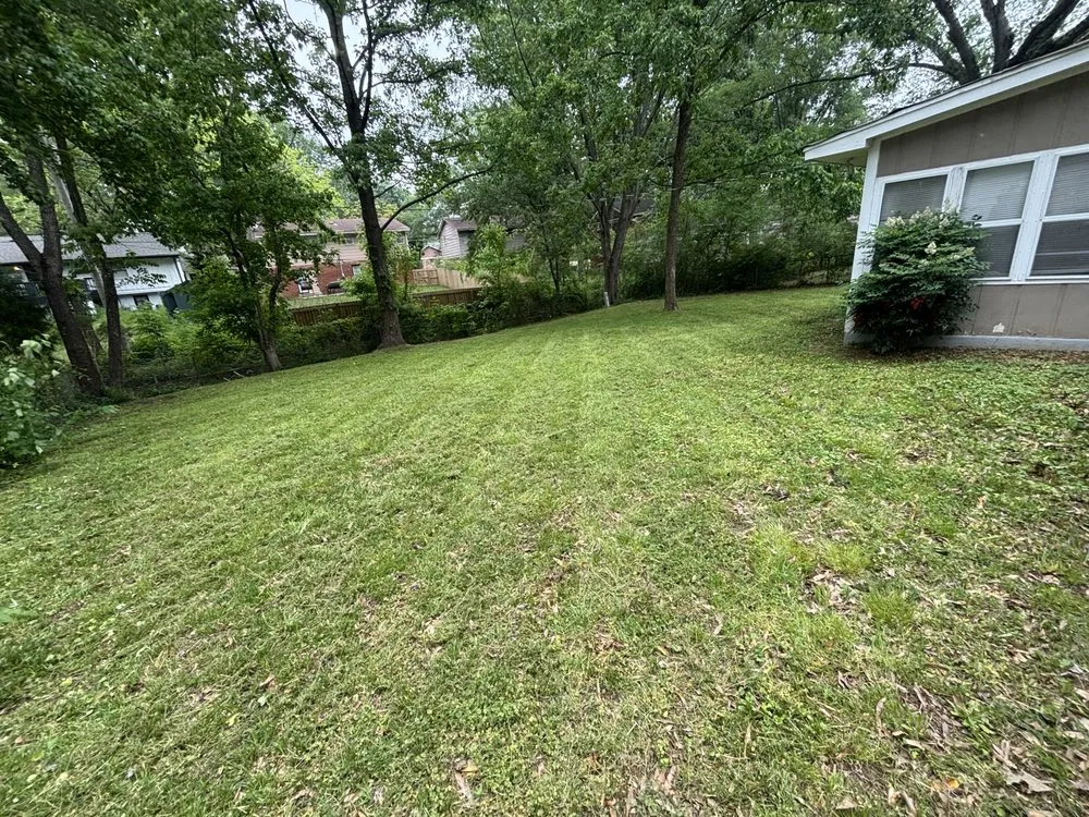 Expert landscape design experts serving Lakeland, TN - Amaro Landscapes