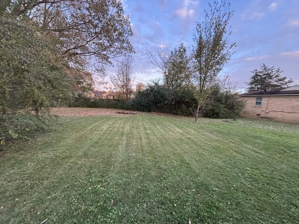 Expert yard cleanup service in Lakeland, TN - Amaro Landscapes