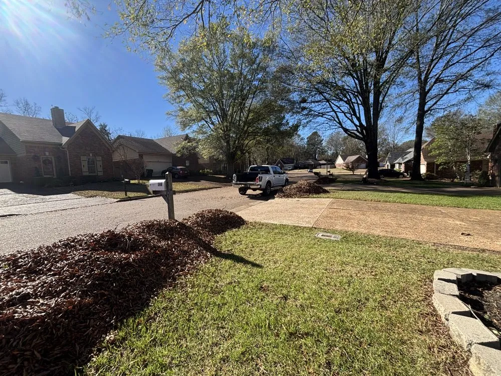 Local landscaping services in Lakeland, TN by Amaro Landscapes