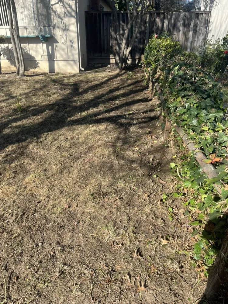 Expert landscape installation for homes across Hayward, CA - Amaro Landscaping Services