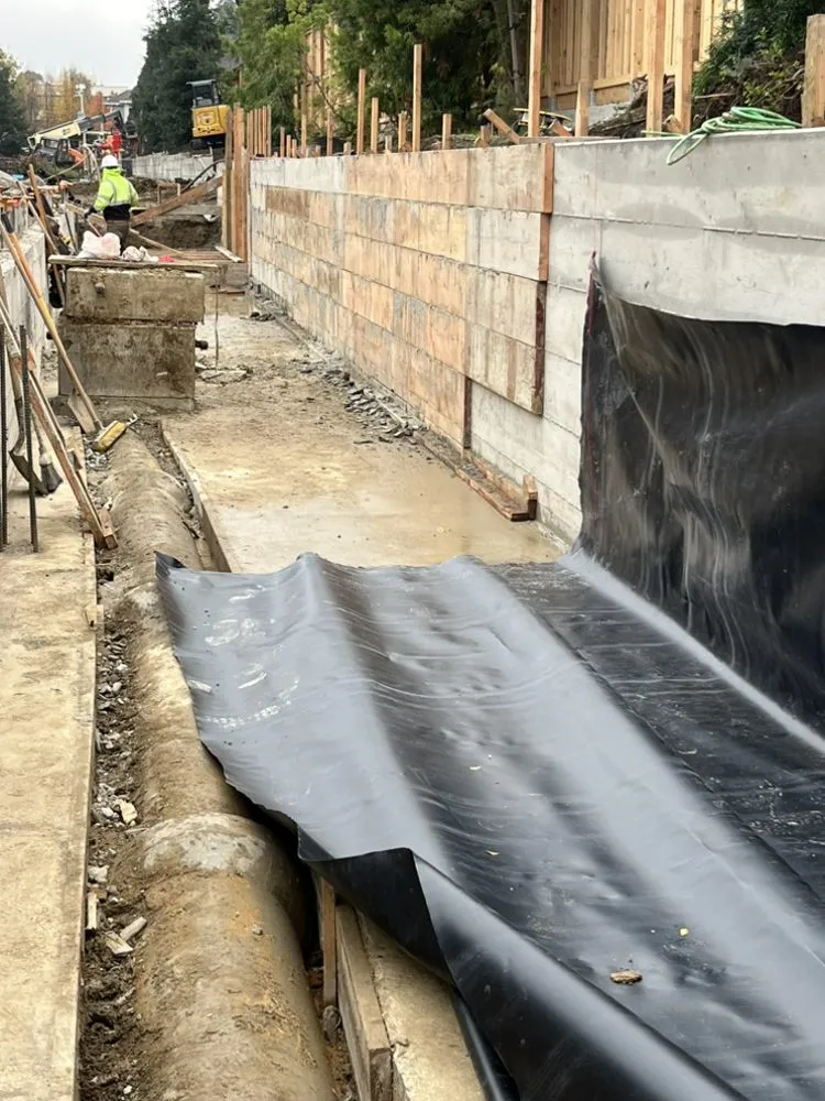 Reliable landscaping services for beautiful yards in Hayward, CA by Amaro Landscaping Services