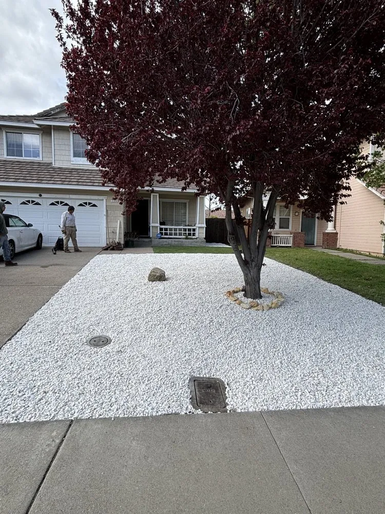 Custom landscape installation in Pittsburg, CA - Amart Landscaping