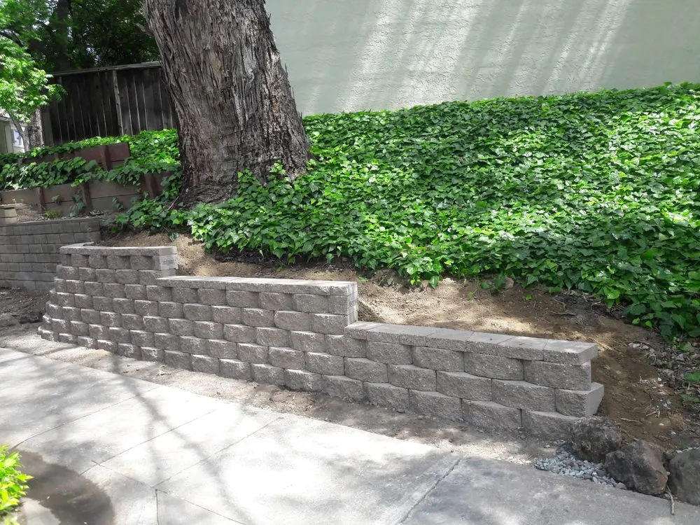 Local yard cleanup service in Pittsburg, CA - Amart Landscaping