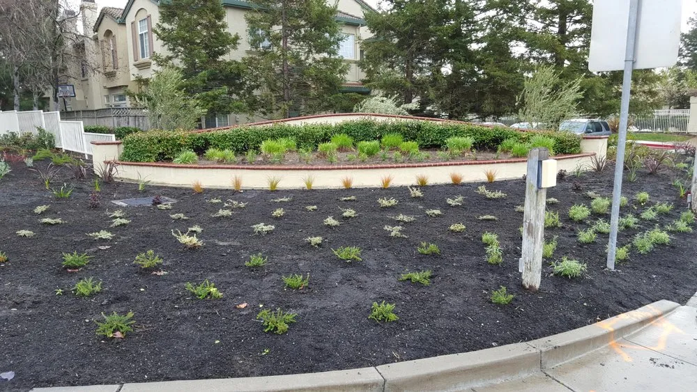 Expert garden landscaping in Pittsburg, CA by Amart Landscaping