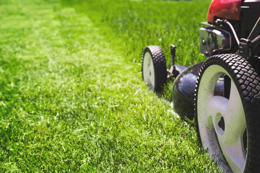 Reliable garden landscaping near you across St Augustine, FL - AMASA Logistics Account