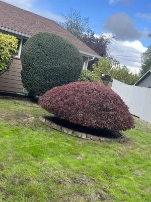 Amates Landscaping Logo