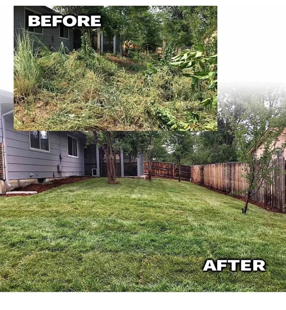 Trusted outdoor landscaping experts serving Orlando, FL - Amat's Budget Landscaping