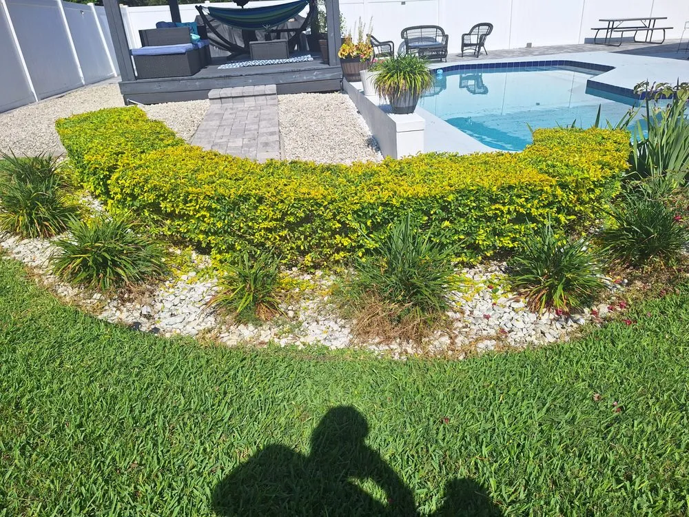 Professional landscape design in Orlando, FL by Amat's Budget Landscaping
