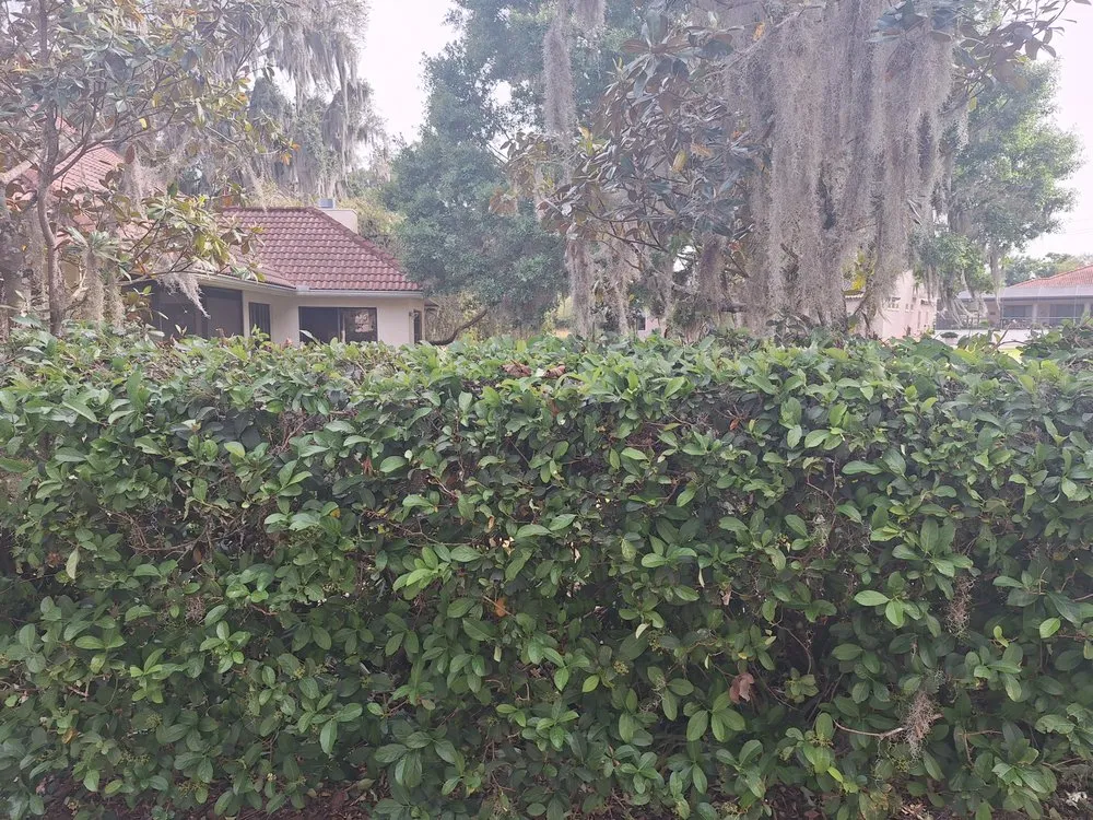 Custom landscaping services experts serving Orlando, FL - Amat's Budget Landscaping