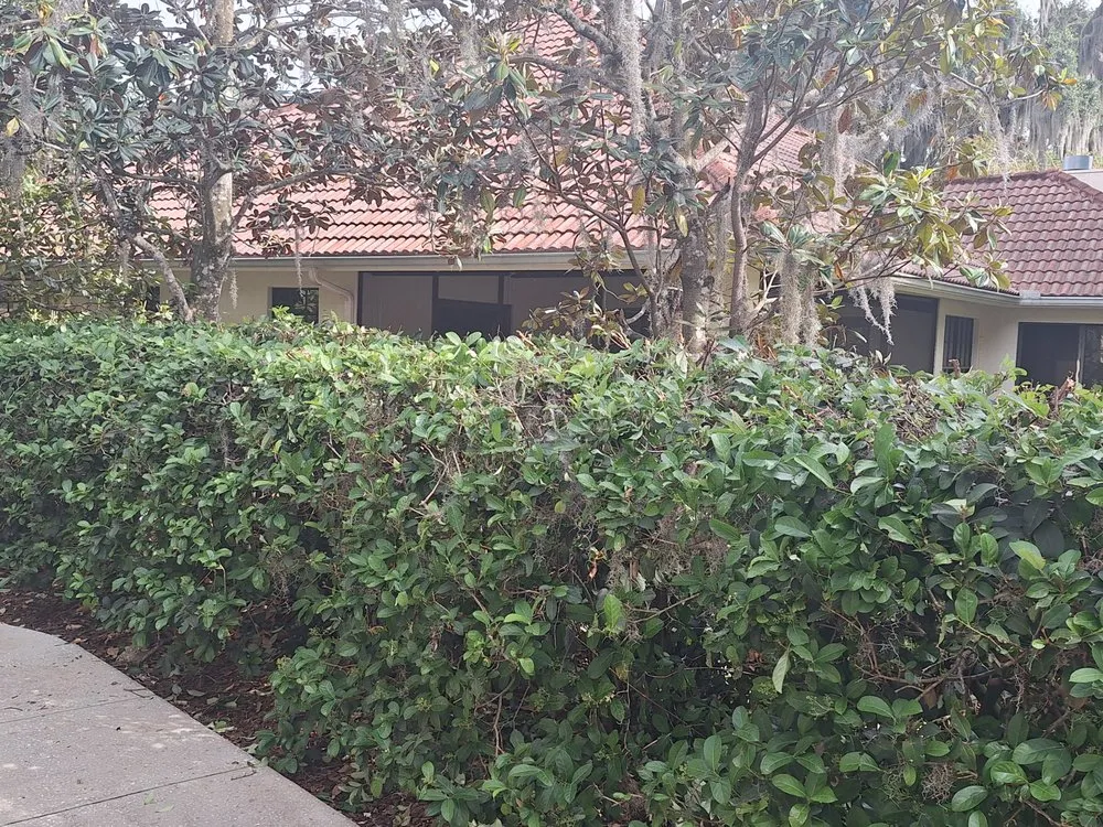 Custom landscape installation experts serving Orlando, FL - Amat's Budget Landscaping