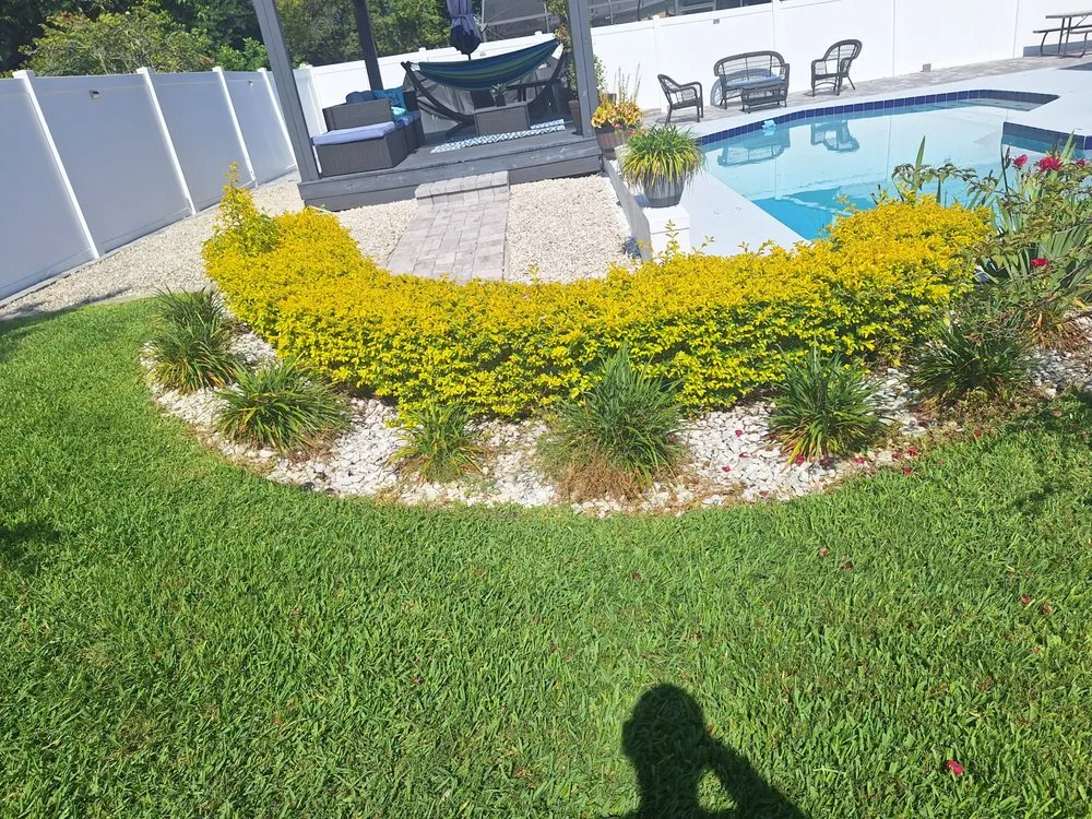 Local landscape design in Orlando, FL - Amat's Budget Landscaping
