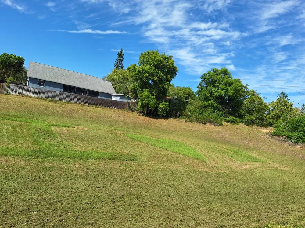 Expert lawn care service experts serving Orlando, FL - Amat's Budget Landscaping