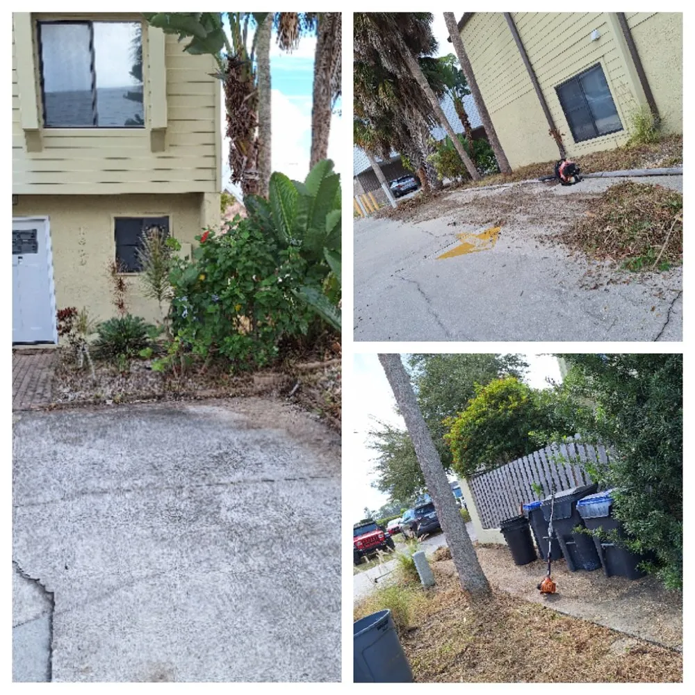 Expert residential landscaping for outdoor upgrades across Orlando, FL - Amat's Budget Landscaping