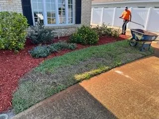 Top-rated yard cleanup service in Orlando, FL by Amat's Budget Landscaping