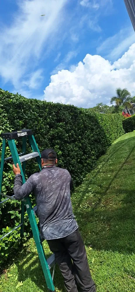 Reliable residential landscaping in Orlando, FL by Amat's Budget Landscaping