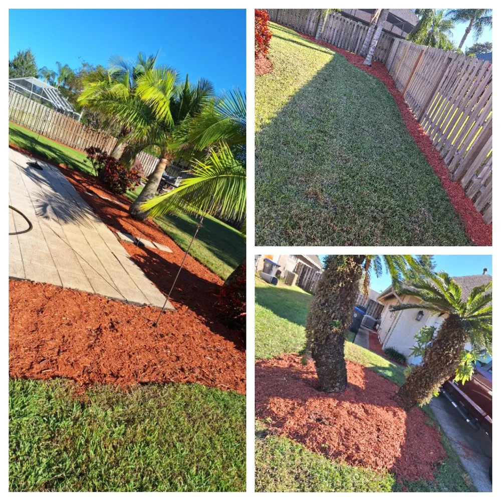 Expert lawn mowing service experts serving Orlando, FL - Amat's Budget Landscaping