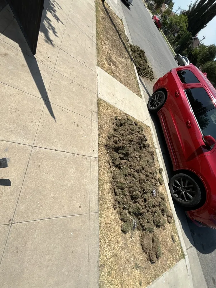 Custom yard maintenance near you in Bakersfield, CA by Amaya Landscape and Concrete