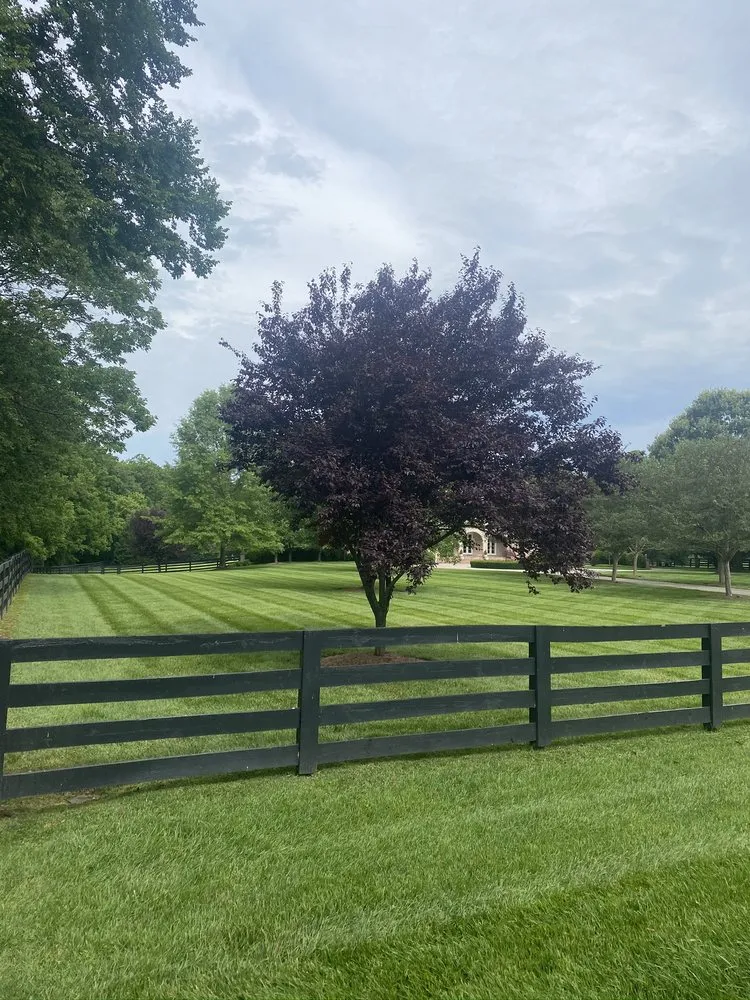 Expert residential landscaping in Nashville, TN by Amaya landscape