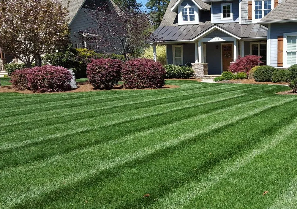 Local yard cleanup service in Nashville, TN by Amaya landscape