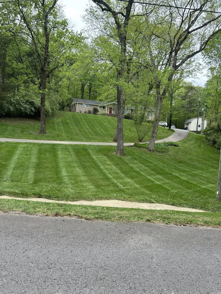 Affordable garden landscaping in Nashville, TN - Amaya landscape